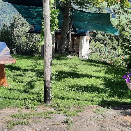 Casa Tonacchiolo Bed & Breakfast Acquaria Luaran gambar